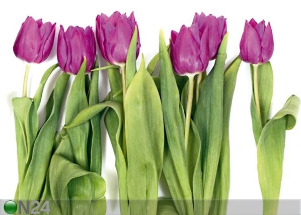 Fleece kuvatapetti TULIPS 2 360x270 cm