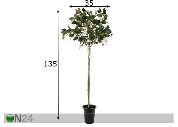 Fuksia 135 cm mitat