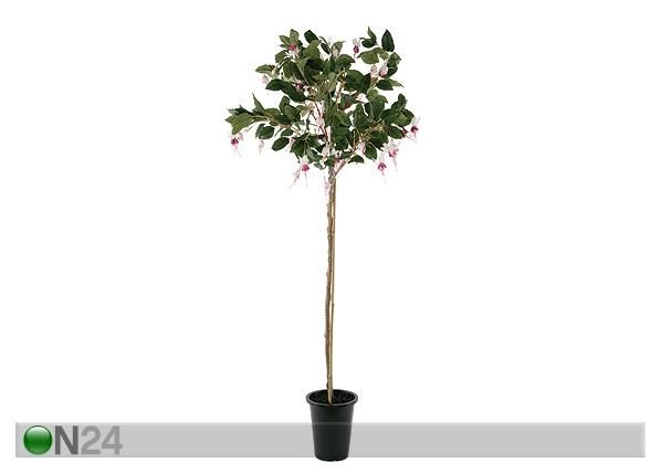 Fuksia 135 cm