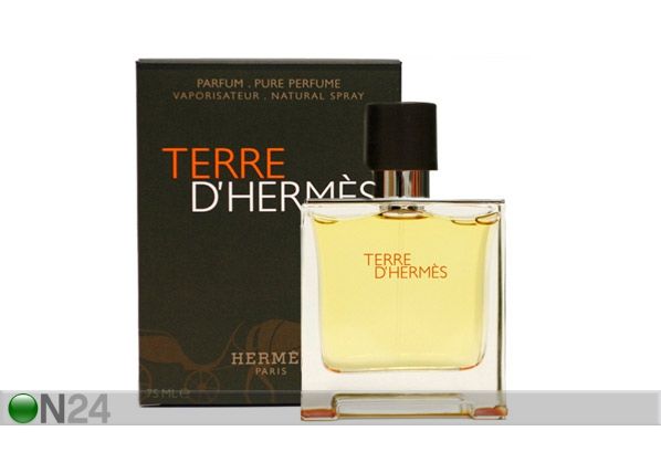 Hermes Terre d'Hermes EDP 100ml