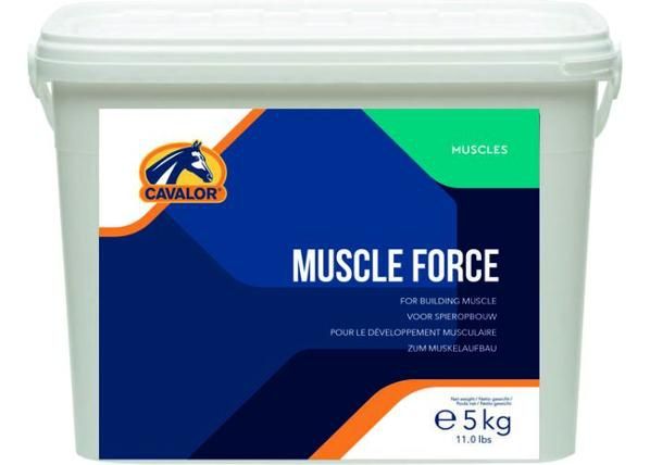 Hevosen ravintolisä muscle force 5 kg