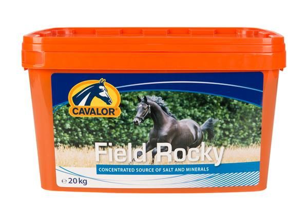 Hevosen suolalaatikko Field Rocky 20 kg