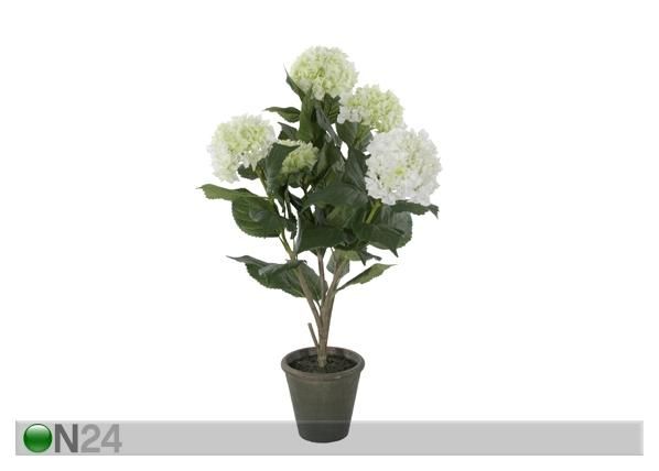 Hortensia 100 cm