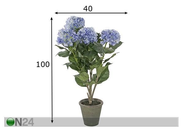 Hortensia 100 cm mitat