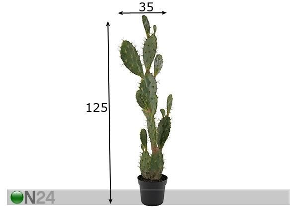 Kaktus 125 cm mitat