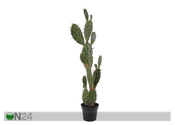 Kaktus 125 cm