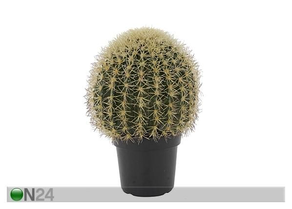 Kaktus 44 cm