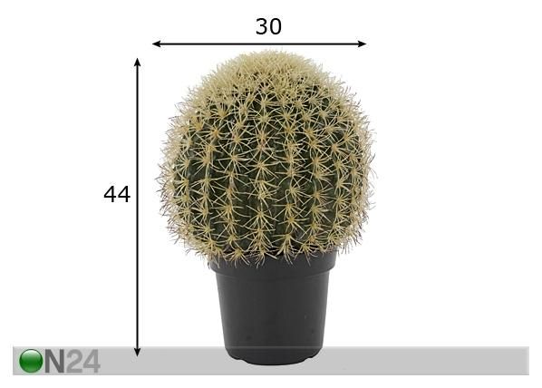 Kaktus 44 cm mitat