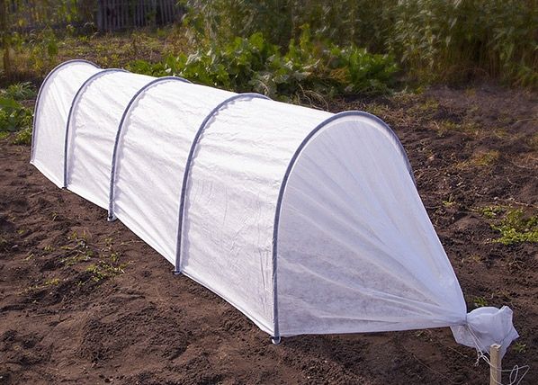 Kasvutunneli Agrohex 1,1x6 m