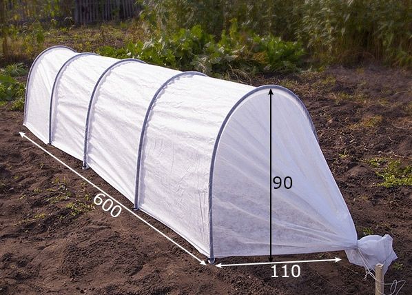 Kasvutunneli Agrohex 1,1x6 m mitat