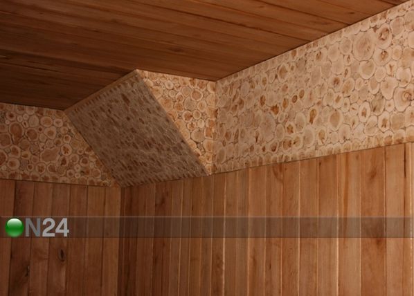 Katajalevy kehyksellä 50x100 cm