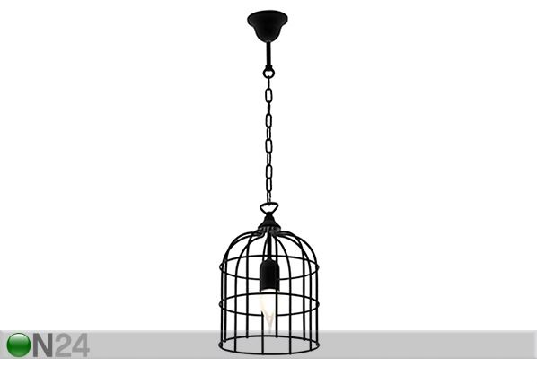 Kattovalaisin KOLIBRI