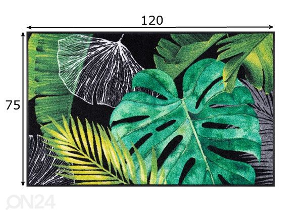 Käytävämatto Neoflora 75x120 cm mitat