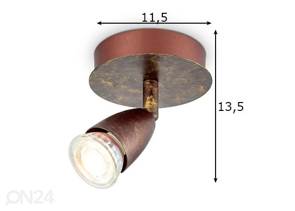 Kohdevalaisin Curl mitat