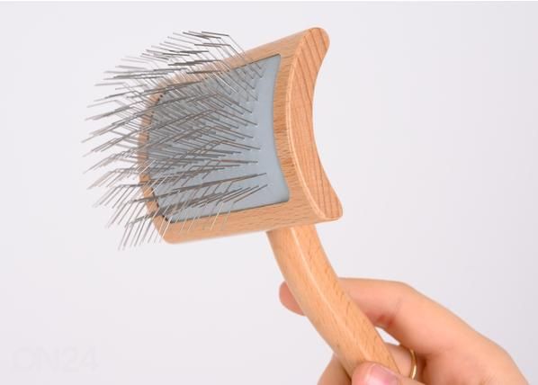 Koiran karsta transgroom s