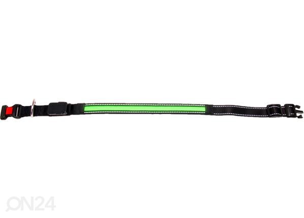 Koiran LED kaulapanta usb 25 mm x 44-59 cm vihreä