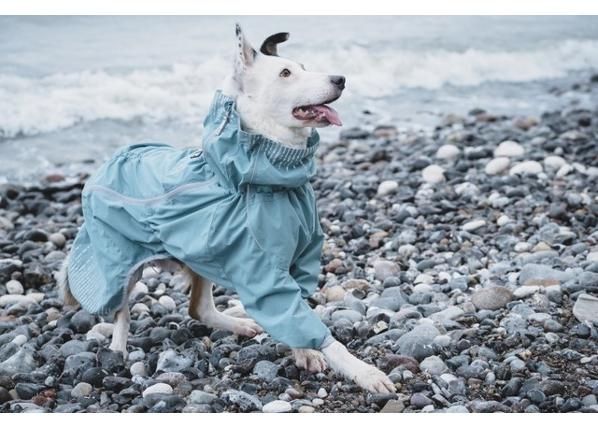 Koiran suojapuku rain blocker 70 merenvihreä
