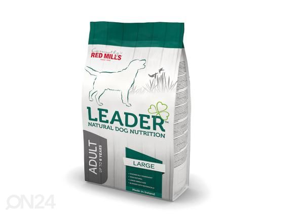 Koiran täysravinto kana suurikokoiselle rodulle kana 2 kg
