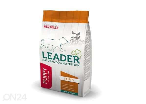 Koiranpennun kuivamuona keskikokoiselle rodulle kana 2 kg