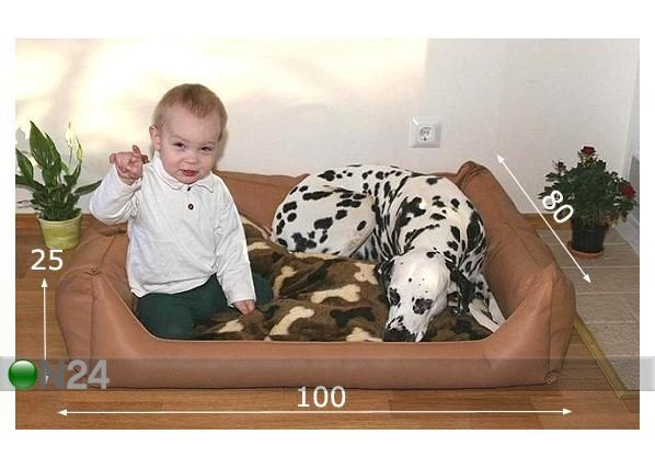 Koiranpeti 100x80 cm mitat