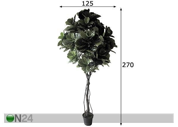 Koristekasvi FIDDLE 270 cm mitat