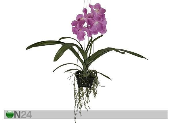 Koristekasvi ORKIDEA 46 cm