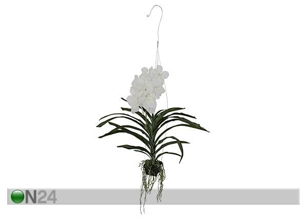 Koristekasvi ORKIDEA 70 cm