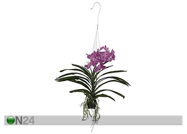 Koristekasvi ORKIDEA 70 cm