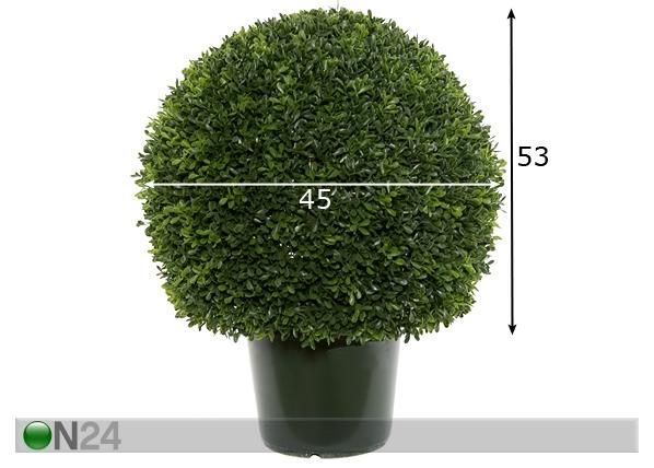 Koristepuu 53 cm mitat