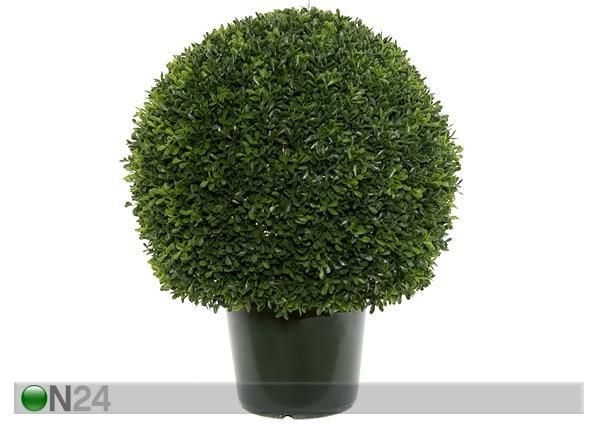 Koristepuu 53 cm