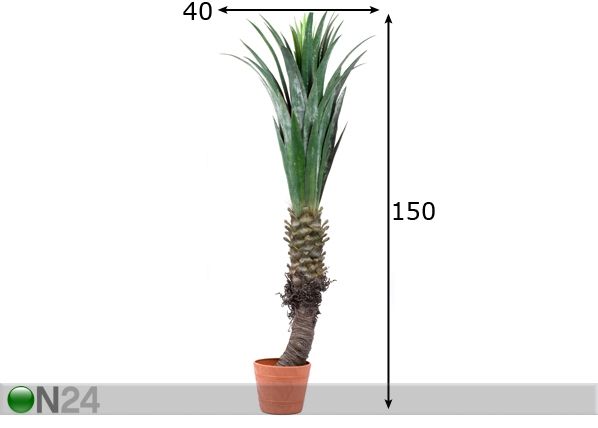Koristepuu PALMU 150 cm mitat