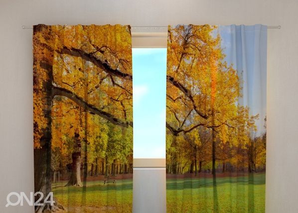 Läpinäkyvä verho GOLDEN AUTUMN 240x220 cm