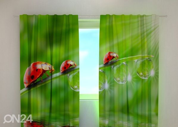 Läpinäkyvä verho LADYBIRDS 240x220 cm