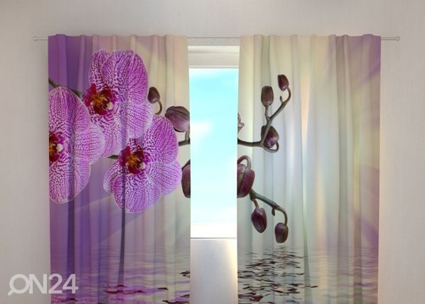 Läpinäkyvä verho LILACEOUS ORCHID 240x220 cm