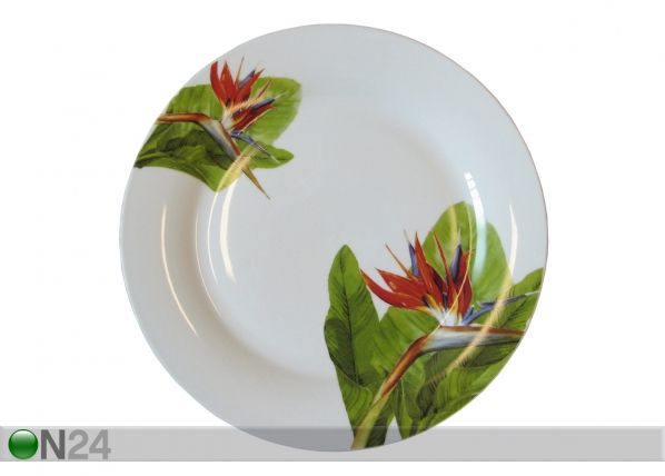 Lautanen PARATIISILINTUKUKKA Ø 27cm, 6 kpl