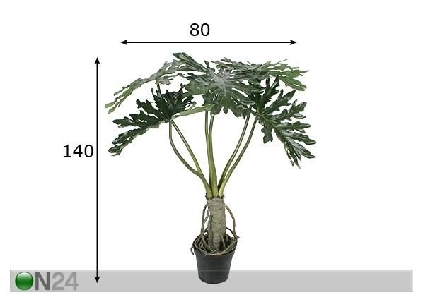 Liuskavehka 140 cm mitat