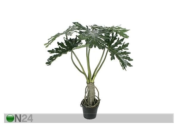 Liuskavehka 140 cm