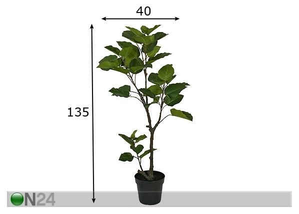 Makenia polysciam 135 cm mitat