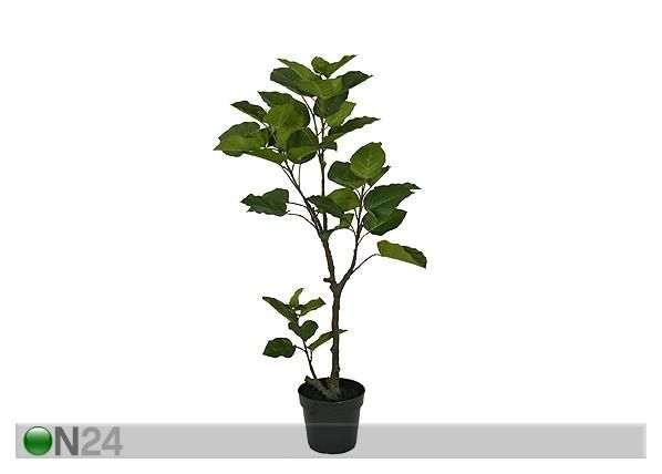 Makenia polysciam 135 cm