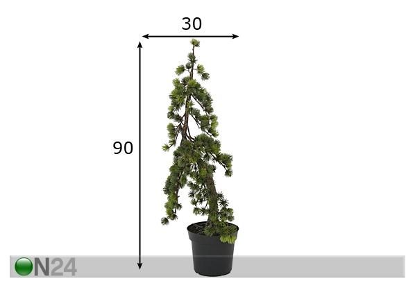 Mäkimänty 90 cm