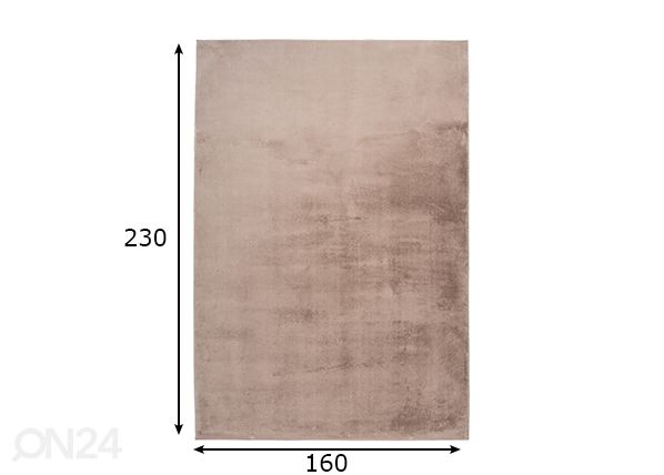 Matto Paradise Taupe 160x230 cm mitat