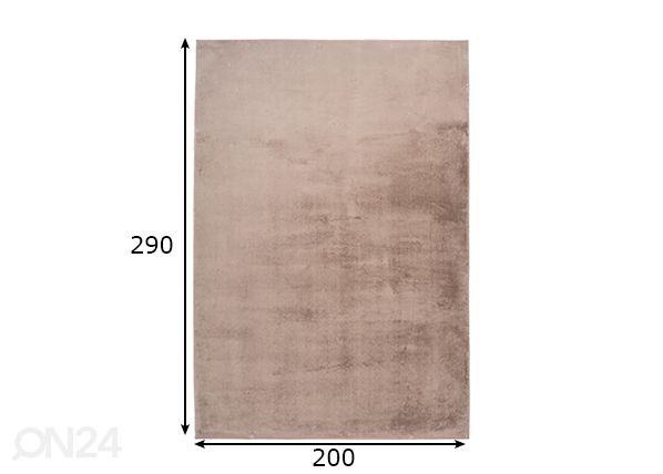 Matto Paradise Taupe 200x290 cm mitat