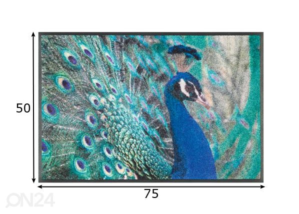 Matto PAVONE 50x75 cm mitat