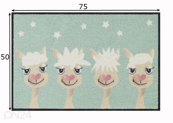Matto Perfect Hair Day 50x75 cm mitat