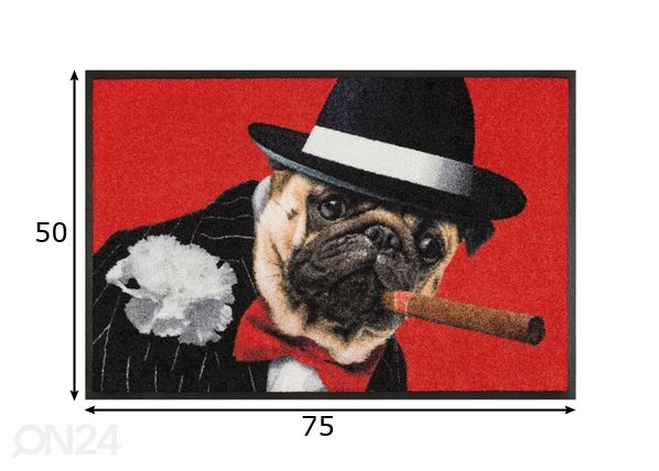 Matto SALVATORE 50x75 cm mitat