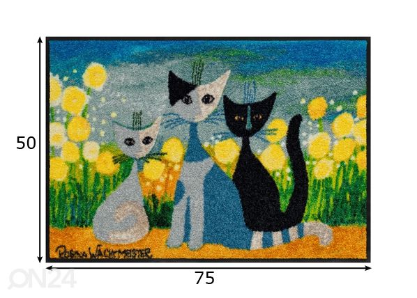Matto SPRINGTIME 50x75 cm mitat