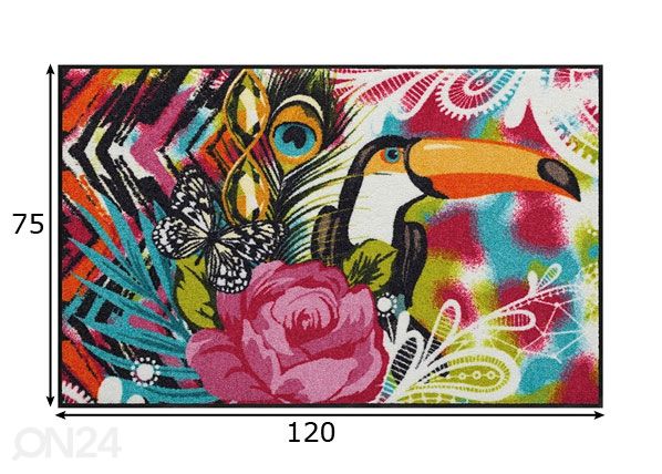 Matto TUKAN 75x120 cm mitat