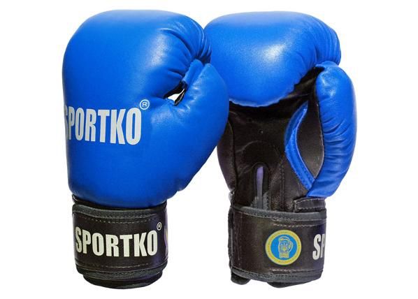Miesten nyrkkeilyhanskat SportKO PK1