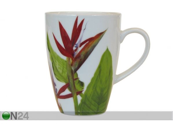 Muki HELIKONIA 300 ml, 6 bkpl