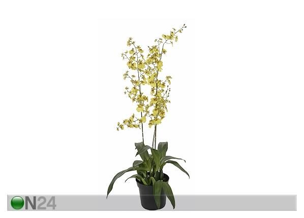 Orkidea, keltainen 100 cm